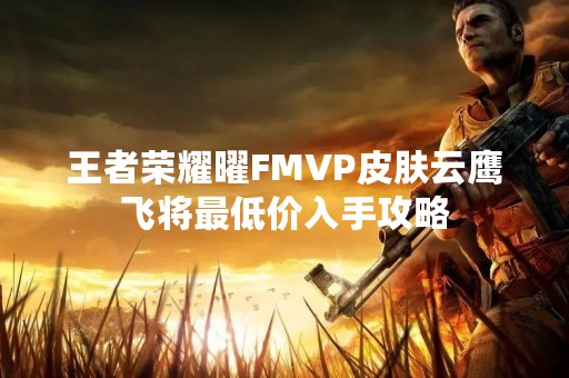 王者荣耀曜FMVP皮肤云鹰飞将最低价入手攻略