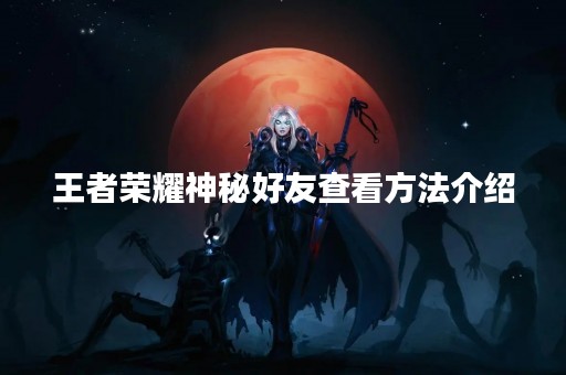 王者荣耀神秘好友查看方法介绍