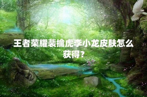 王者荣耀裴擒虎李小龙皮肤怎么获得？