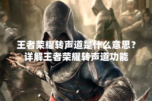 王者荣耀转声道是什么意思？详解王者荣耀转声道功能