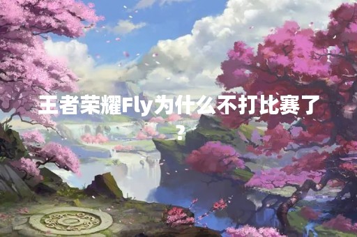 王者荣耀Fly为什么不打比赛了？