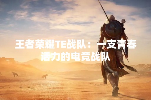 王者荣耀TE战队：一支青春活力的电竞战队