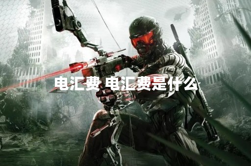 电汇费 电汇费是什么