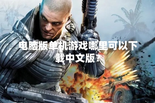 电脑版单机游戏哪里可以下载中文版？
