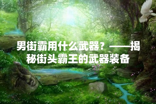 男街霸用什么武器？——揭秘街头霸王的武器装备