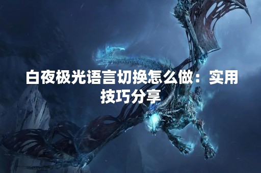 白夜极光语言切换怎么做：实用技巧分享