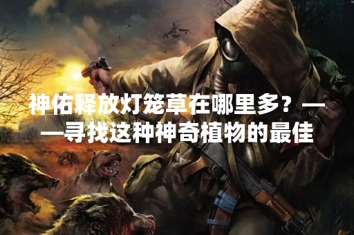 神佑释放灯笼草在哪里多？——寻找这种神奇植物的最佳去处