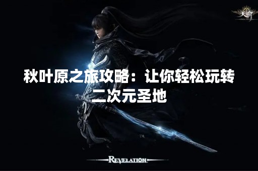 秋叶原之旅攻略：让你轻松玩转二次元圣地
