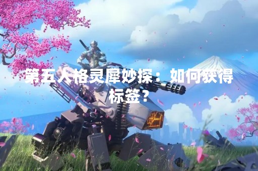 第五人格灵犀妙探：如何获得标签？