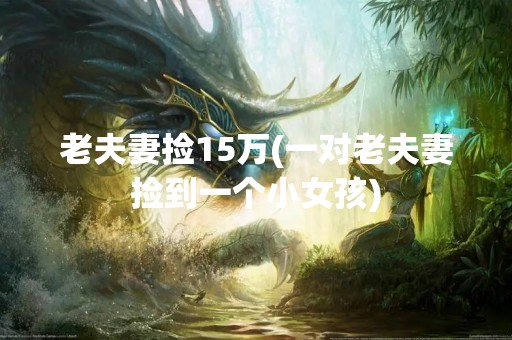 老夫妻捡15万(一对老夫妻捡到一个小女孩)