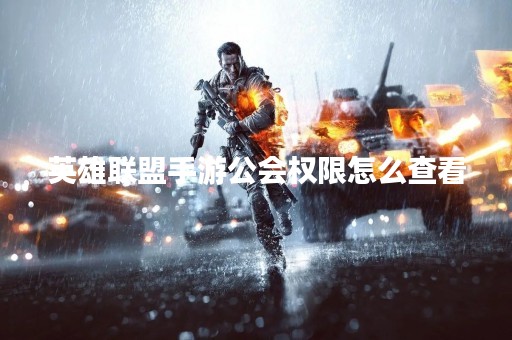 英雄联盟手游公会权限怎么查看