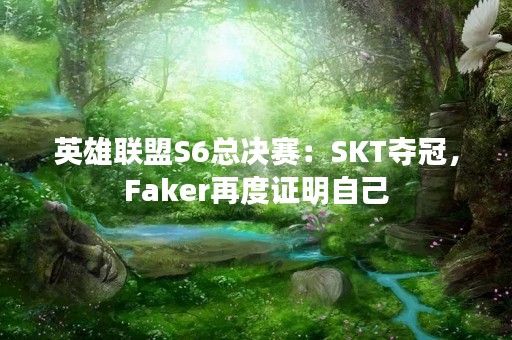英雄联盟S6总决赛：SKT夺冠，Faker再度证明自己