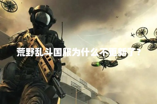 荒野乱斗国服为什么不更新了？