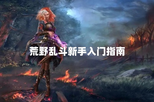 荒野乱斗新手入门指南