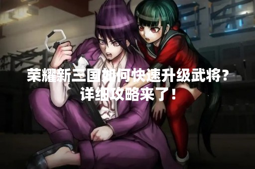 荣耀新三国如何快速升级武将？详细攻略来了！