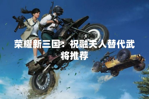 荣耀新三国：祝融夫人替代武将推荐