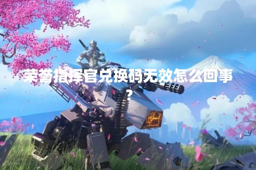 荣誉指挥官兑换码无效怎么回事？