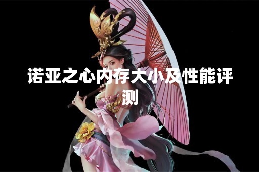诺亚之心内存大小及性能评测