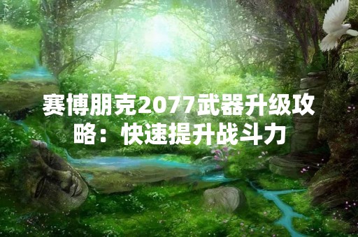 赛博朋克2077武器升级攻略：快速提升战斗力