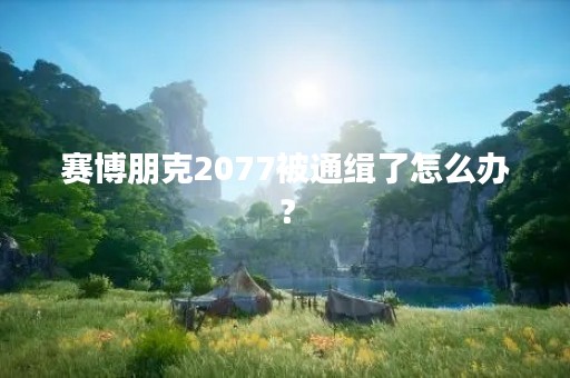 赛博朋克2077被通缉了怎么办？