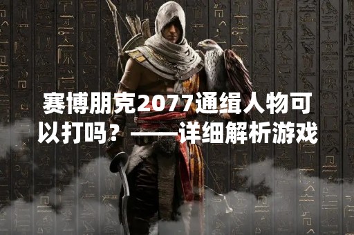 赛博朋克2077通缉人物可以打吗？——详细解析游戏中的通缉系统