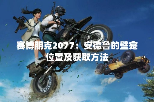 赛博朋克2077：安德鲁的壁龛位置及获取方法