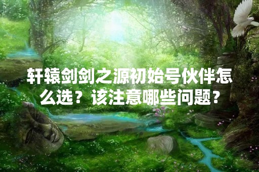 轩辕剑剑之源初始号伙伴怎么选？该注意哪些问题？
