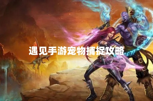 遇见手游宠物捕捉攻略