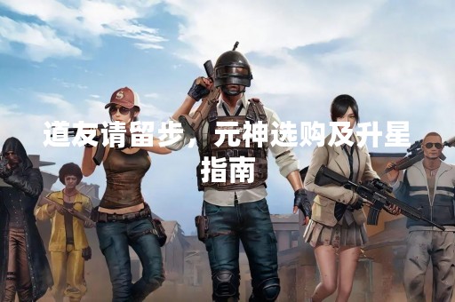 道友请留步，元神选购及升星指南
