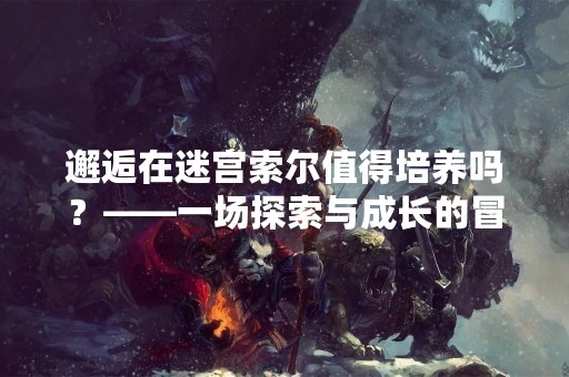 邂逅在迷宫索尔值得培养吗？——一场探索与成长的冒险之旅
