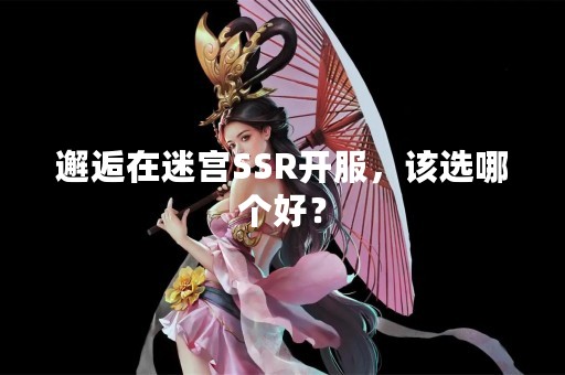 邂逅在迷宫SSR开服，该选哪个好？