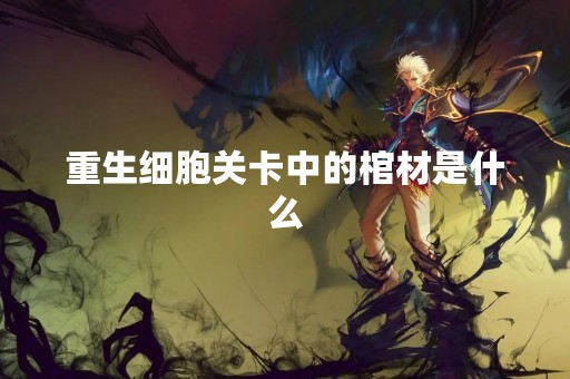 重生细胞关卡中的棺材是什么