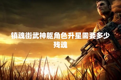 镇魂街武神躯角色升星需要多少残魂