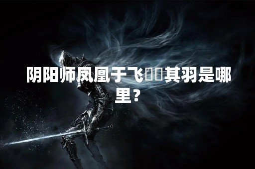 阴阳师凤凰于飞翙翙其羽是哪里？