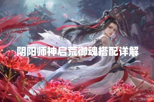 阴阳师神启荒御魂搭配详解