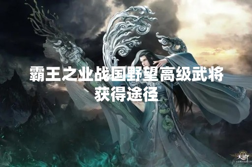 霸王之业战国野望高级武将获得途径