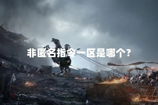 非匿名指令一区是哪个？