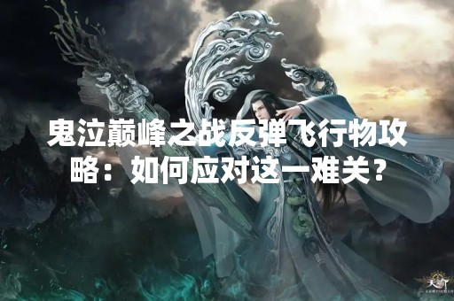 鬼泣巅峰之战反弹飞行物攻略：如何应对这一难关？