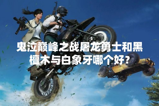 鬼泣巅峰之战屠龙勇士和黑檀木与白象牙哪个好？