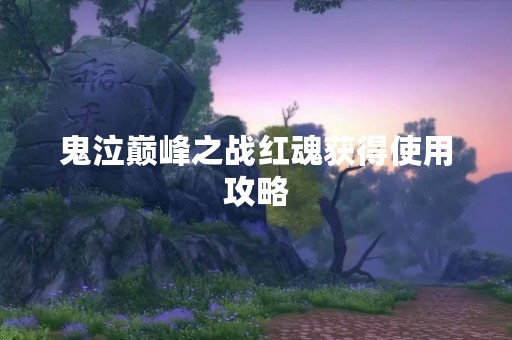 鬼泣巅峰之战红魂获得使用攻略