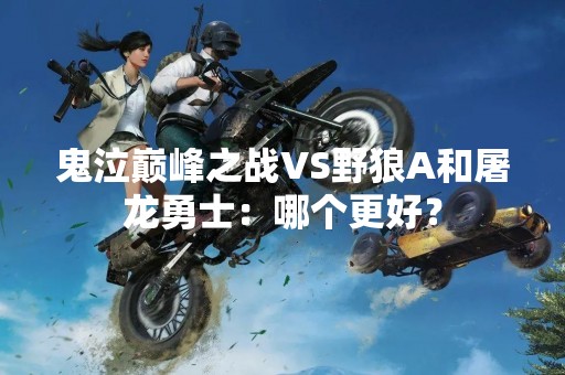 鬼泣巅峰之战VS野狼A和屠龙勇士：哪个更好？