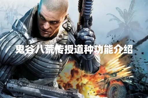 鬼谷八荒传授道种功能介绍