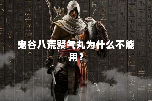 鬼谷八荒聚气丸为什么不能用？