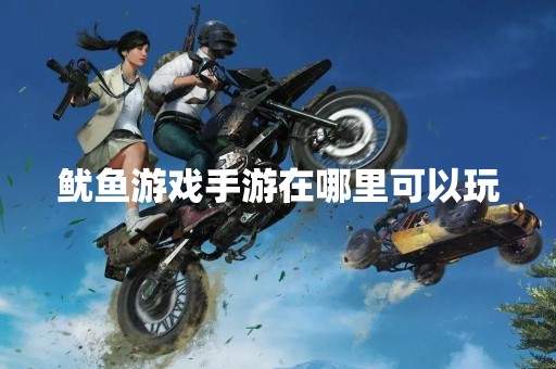 鱿鱼游戏手游在哪里可以玩