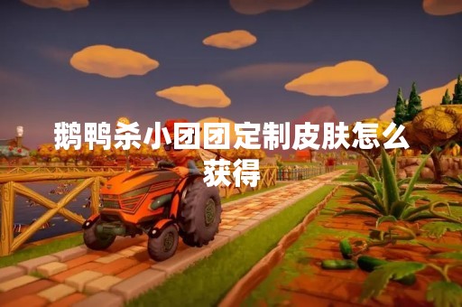 鹅鸭杀小团团定制皮肤怎么获得