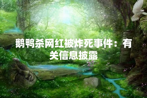 鹅鸭杀网红被炸死事件：有关信息披露