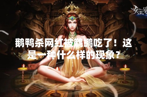 鹅鸭杀网红被鹈鹕吃了！这是一种什么样的现象？