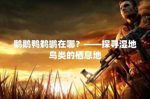 鹅鹅鸭鹈鹕在哪？——探寻湿地鸟类的栖息地