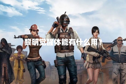 黎明觉醒体能有什么用？