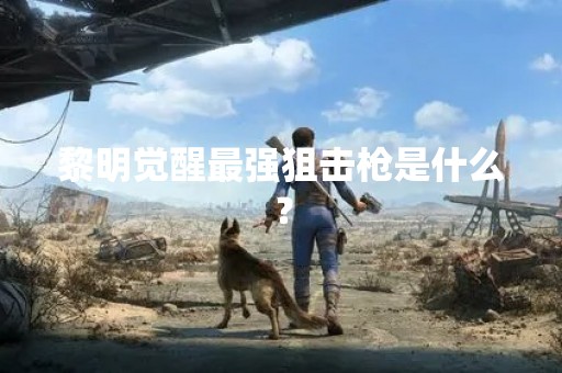黎明觉醒最强狙击枪是什么？
